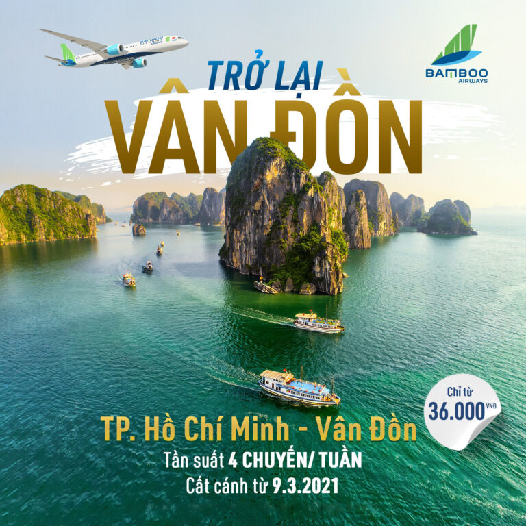 BAMBOO TRỞ LẠI VÂN ĐỒN